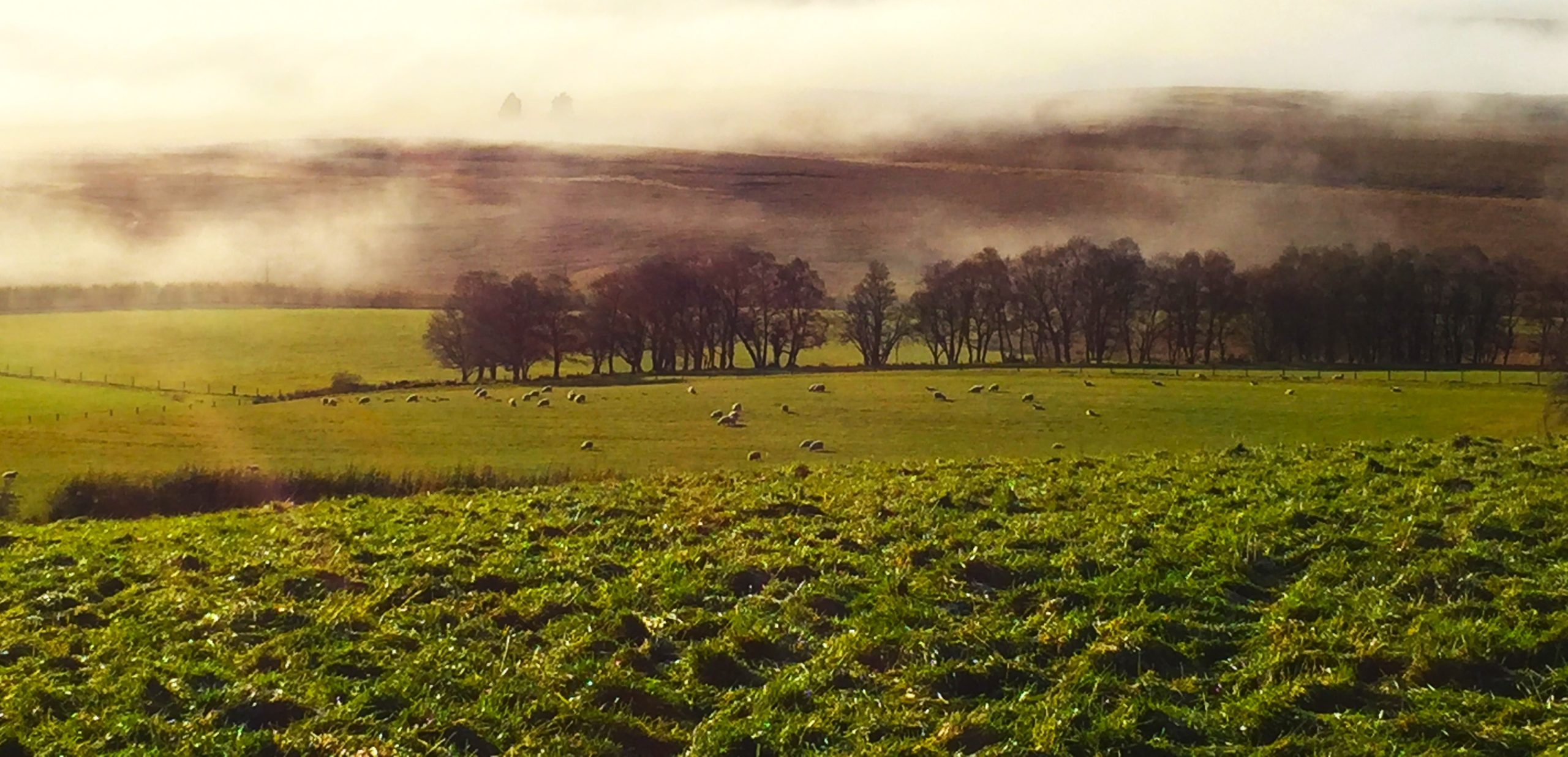 Morning mist over the Scottish countryside